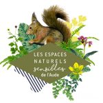 ENS - AMBIANCE NOCTURNE SUR LA GANGUISE