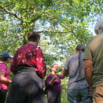JOURNÉE IMMERSIVE - DE LA CUEILLETTE À LA TRANSFORMATION DE PLANTES LOCALES