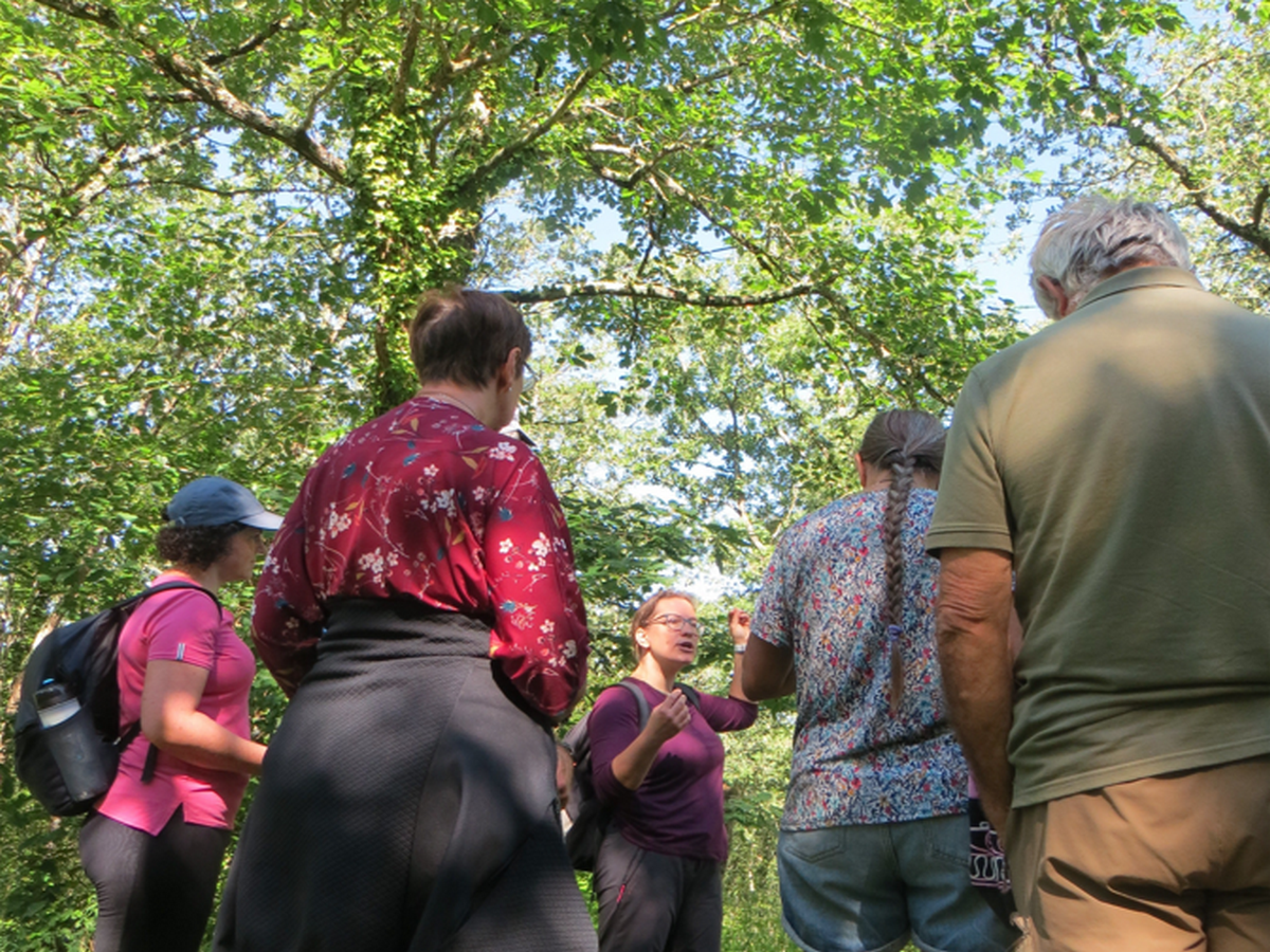 JOURNÉE IMMERSIVE - DE LA CUEILLETTE À LA TRANSFORMATION DE PLANTES LOCALES