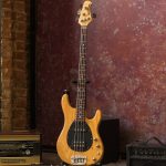 TWYCHILD: BLUES ROCK COUNTRY - CONCERT